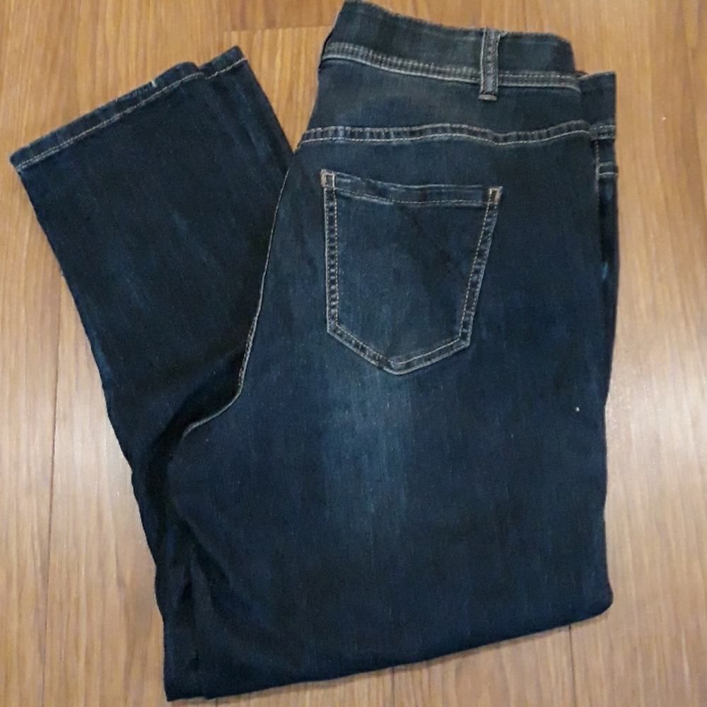 Lane Bryant Tighter Tummy Jeans